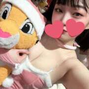 ヒメ日記 2025/05/03 08:51 投稿 ひなた ホワイトハウス