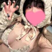 ヒメ日記 2025/05/04 07:55 投稿 ひなた ホワイトハウス