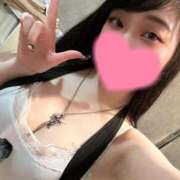 ヒメ日記 2025/05/10 17:09 投稿 ひなた ホワイトハウス