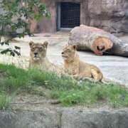 ヒメ日記 2025/05/14 11:53 投稿 ひなた ホワイトハウス