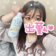 ヒメ日記 2025/09/04 10:30 投稿 ノドカ ドMな奥さん 日本橋店