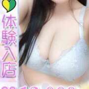 ヒメ日記 2025/03/16 01:22 投稿 ほたる 君とふわふわプリンセスin立川