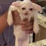 ヒメ日記 2025/04/14 14:09 投稿 えりか Versailles