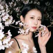 ヒメ日記 2026/04/15 15:22 投稿 えりか Versailles