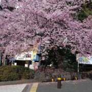 ヒメ日記 2025/03/18 09:28 投稿 水沢　遥 五十路マダム 愛されたい熟女たち 高松店