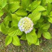 りんか☆ 捻挫しました🥺 豊橋豊川ちゃんこ