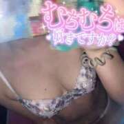 ヒメ日記 2026/07/14 20:54 投稿 かなで 博多プラチナム