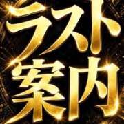 ヒメ日記 2026/08/31 03:52 投稿 そよか 博多プラチナム
