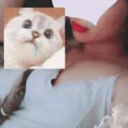 ヒメ日記 2025/08/02 04:29 投稿 みなみ 博多プラチナム