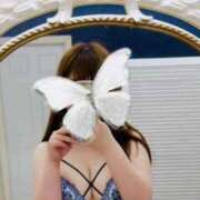 ヒメ日記 2025/09/08 21:27 投稿 みなみ 博多プラチナム