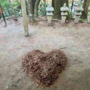 ヒメ日記 2026/02/03 20:21 投稿 みなみ 博多プラチナム