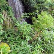 ヒメ日記 2025/08/27 17:13 投稿 りる CLUB DEEP 博多