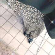 ヒメ日記 2025/11/26 11:13 投稿 りる CLUB DEEP 博多