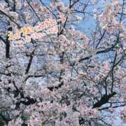 ヒメ日記 2026/03/30 09:23 投稿 りる CLUB DEEP 博多