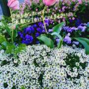 ヒメ日記 2026/04/10 11:17 投稿 りる CLUB DEEP 博多