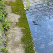 ヒメ日記 2025/04/15 12:39 投稿 藤ヶ谷はる(ふじがやはる) 九州熟女　熊本店