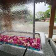 ヒメ日記 2025/06/13 19:59 投稿 藤ヶ谷はる(ふじがやはる) 九州熟女　熊本店