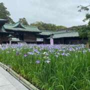 ヒメ日記 2025/06/17 11:11 投稿 藤ヶ谷はる(ふじがやはる) 九州熟女　熊本店
