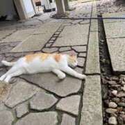 ヒメ日記 2025/07/13 13:29 投稿 藤ヶ谷はる(ふじがやはる) 九州熟女　熊本店