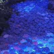 ヒメ日記 2025/07/15 16:00 投稿 藤ヶ谷はる(ふじがやはる) 九州熟女　熊本店