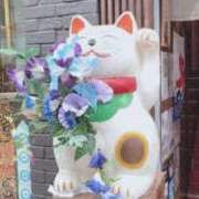 ヒメ日記 2025/07/29 00:49 投稿 藤ヶ谷はる(ふじがやはる) 九州熟女　熊本店