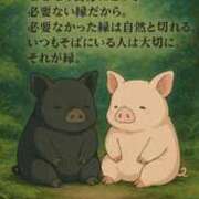 ヒメ日記 2025/07/30 16:59 投稿 藤ヶ谷はる(ふじがやはる) 九州熟女　熊本店