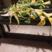 ヒメ日記 2025/08/02 18:09 投稿 藤ヶ谷はる(ふじがやはる) 九州熟女　熊本店