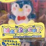 ヒメ日記 2025/09/27 08:49 投稿 藤ヶ谷はる(ふじがやはる) 九州熟女　熊本店