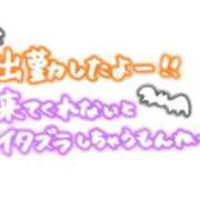 ヒメ日記 2025/10/21 09:29 投稿 藤ヶ谷はる(ふじがやはる) 九州熟女　熊本店