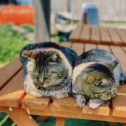 ヒメ日記 2025/10/21 14:19 投稿 藤ヶ谷はる(ふじがやはる) 九州熟女　熊本店