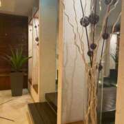 ヒメ日記 2025/10/25 10:09 投稿 藤ヶ谷はる(ふじがやはる) 九州熟女　熊本店