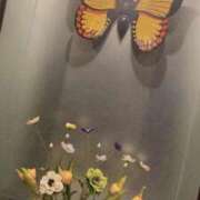 ヒメ日記 2026/02/27 12:16 投稿 藤ヶ谷はる(ふじがやはる) 九州熟女　熊本店