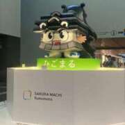 ヒメ日記 2026/02/27 15:56 投稿 藤ヶ谷はる(ふじがやはる) 九州熟女　熊本店