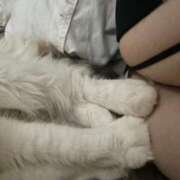 ヒメ日記 2025/07/04 17:09 投稿 れい【片手におさまらん】 どMばすたーず 群馬 高崎店