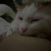 ヒメ日記 2025/08/19 21:43 投稿 れい【片手におさまらん】 どMばすたーず 群馬 高崎店