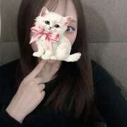 ヒメ日記 2025/06/11 09:16 投稿 せな 日本妻