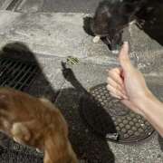 ヒメ日記 2025/07/25 15:57 投稿 せな 日本妻