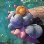 ヒメ日記 2025/09/12 15:41 投稿 せな 日本妻