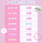 ヒメ日記 2025/03/31 06:45 投稿 めると バイオレンス