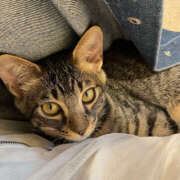 ヒメ日記 2025/04/27 21:45 投稿 めると バイオレンス