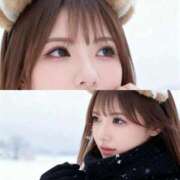 ヒメ日記 2025/11/03 16:08 投稿 ありす（ありさ） Salon du M-えっちなお姉さんのM性感デリバリー-五反田店