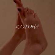 ヒメ日記 2025/11/29 00:18 投稿 ことは Salon du M-えっちなお姉さんのM性感デリバリー-五反田店