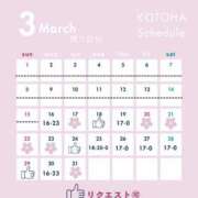 ヒメ日記 2026/03/15 20:08 投稿 ことは Salon du M-えっちなお姉さんのM性感デリバリー-五反田店