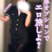 ヒメ日記 2026/06/18 20:18 投稿 ことは Salon du M-えっちなお姉さんのM性感デリバリー-五反田店