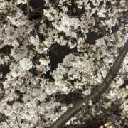 ヒメ日記 2025/03/29 20:35 投稿 杏奈（あんな） Salon du M-えっちなお姉さんのM性感デリバリー-五反田店