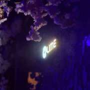 ヒメ日記 2025/04/15 22:25 投稿 杏奈（あんな） Salon du M-えっちなお姉さんのM性感デリバリー-五反田店