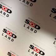 ヒメ日記 2025/07/06 16:25 投稿 杏奈（あんな） Salon du M-えっちなお姉さんのM性感デリバリー-五反田店