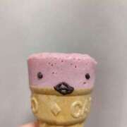 ヒメ日記 2025/07/21 10:32 投稿 源 メガフォース