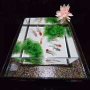 ヒメ日記 2025/08/16 13:47 投稿 源 メガフォース