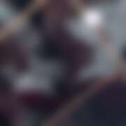 ヒメ日記 2025/08/22 11:30 投稿 源 メガフォース